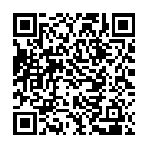 难道我们家族拿出的赤血琉璃果并没有让第五殿主满意二维码生成