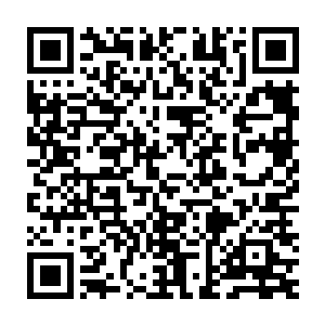 集中注意力去努力记清楚每一个门派的掌门人和所随行人员的模样二维码生成