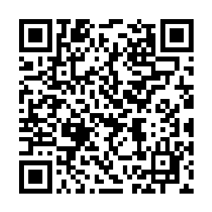 雨果……我……噼里啪啦……你……噼里啪啦……二维码生成