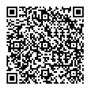 雨果曾经以为自己渺小的梦想是根本不可能实现的――他想要把摇滚的信仰种子再次种植下去二维码生成