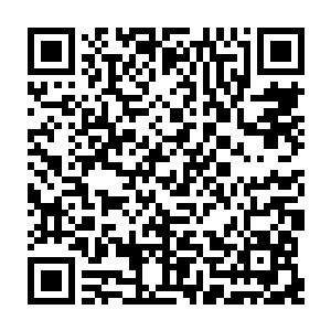 雷林立即发现自己有关蛛网术等三个法术模型的模版记忆又消失得无影无踪二维码生成