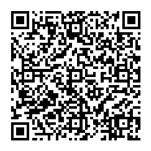 青源联网引申天罗地网由两界冲击面向原本的外域世界――现在新世界一半――枝叶若藤网蔓延二维码生成