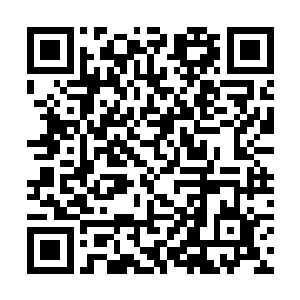 顾依依和顾可可两人一起出现在了姬可馨的别墅门前二维码生成