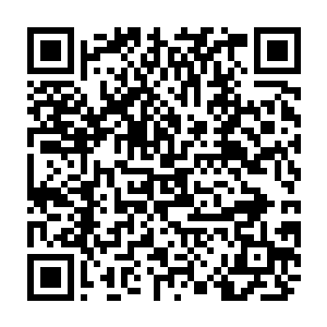 领头的嚣张男子看见苏凡与他的司机在短短数秒的时间内便跑出了上百米二维码生成