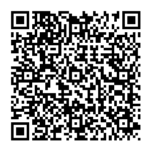 风清扬欲言又止 心头烦闷 抬手一挥 顿时将空了的茶杯倒满 同时也给他老丈人斟了满满一杯二维码生成