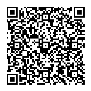 马文一边看着龙之眼里浮现的场景化身为人类的五色龙们似乎在商量着什么他一边好奇地问道二维码生成
