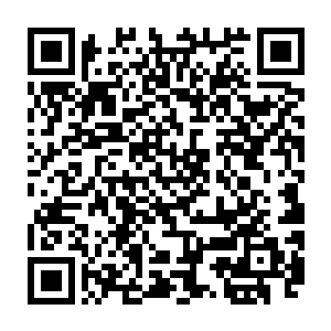 鸿轩神皇和无缘神皇将东皇主宰要指导龙神界年轻一辈天骄的事情给放出二维码生成