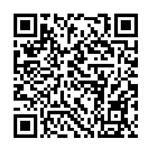 黄金血的确是众多突破血脉桎梏的宝物中最安全的二维码生成