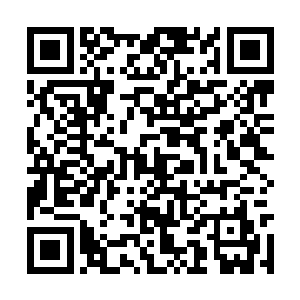 龙宇他们所在的大殿只不过是印魔塔的地十层位置二维码生成