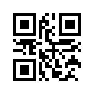 Black_Flash二维码生成