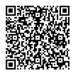 bbc电视台的新闻都不得不开始播出这一影响美国社会的综艺节目有关的新闻与信息二维码生成