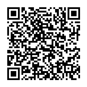 journal开张了――社区的主题正是从明星街拍和视频里关注切萨雷二维码生成