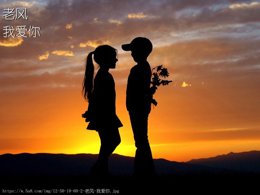 老凤我爱你搞笑图片