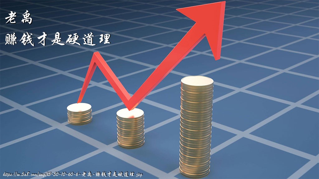 老禹赚钱才是硬道理搞笑图片